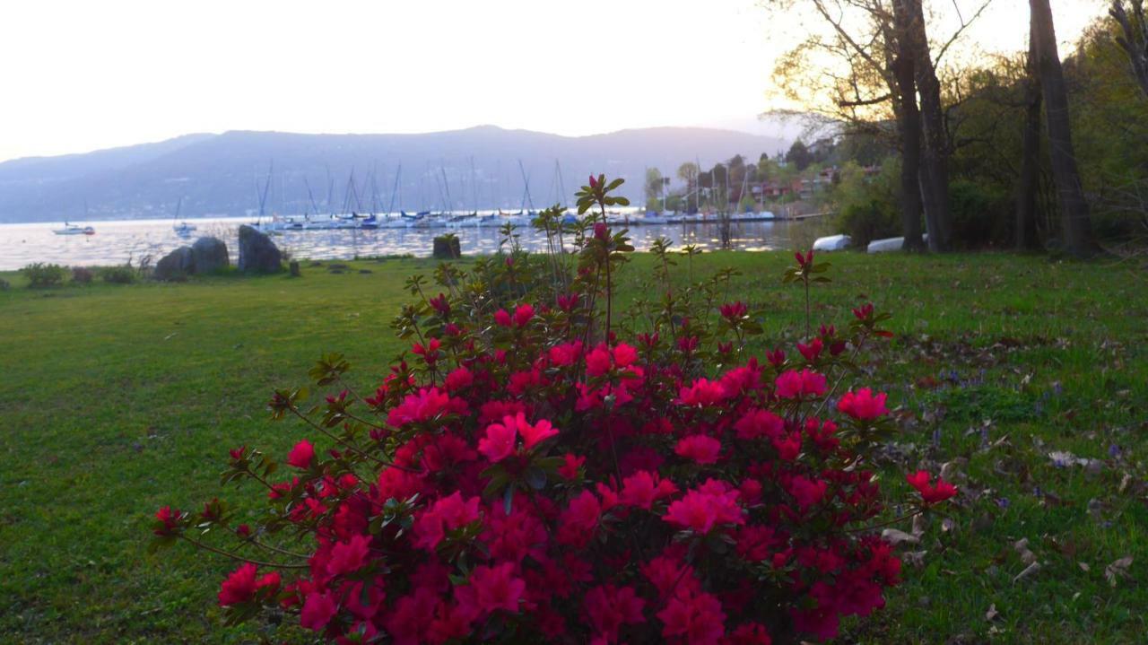 The Gulf Villa - Lago Maggiore Monvalle Bagian luar foto