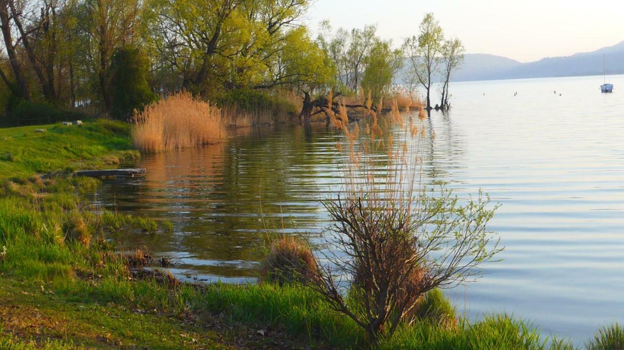 The Gulf Villa - Lago Maggiore Monvalle Bagian luar foto