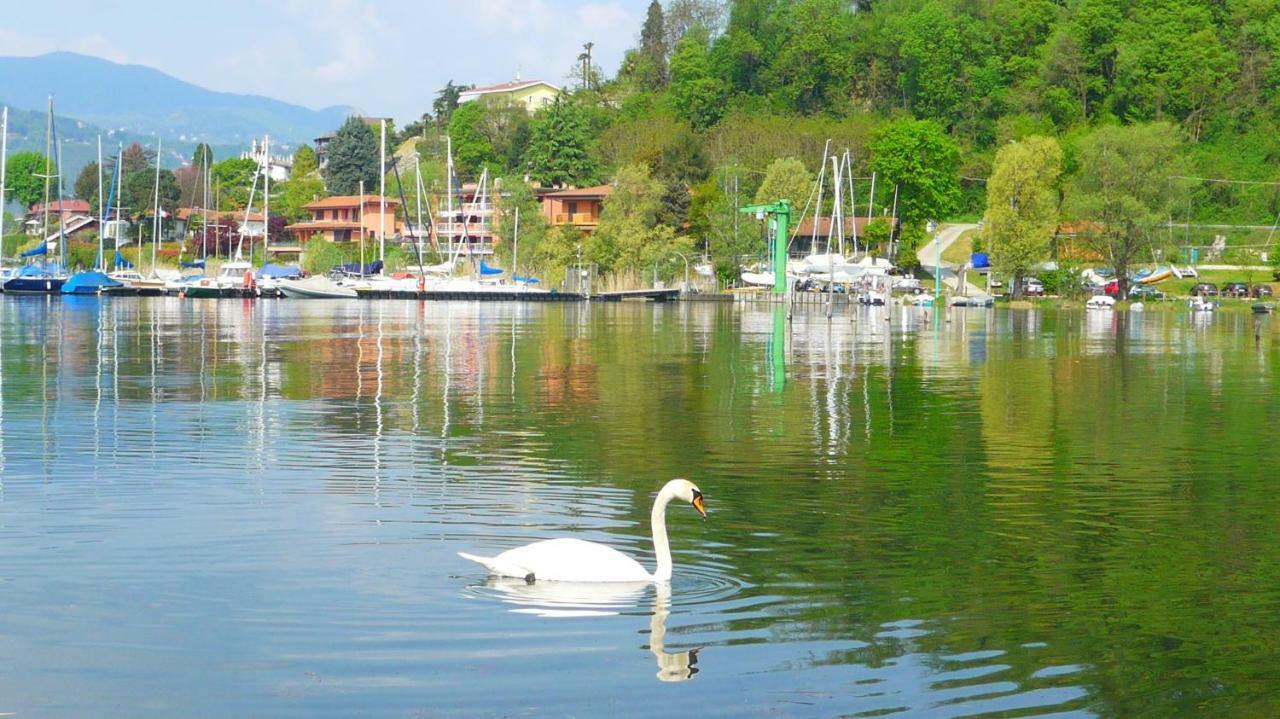 The Gulf Villa - Lago Maggiore Monvalle Bagian luar foto