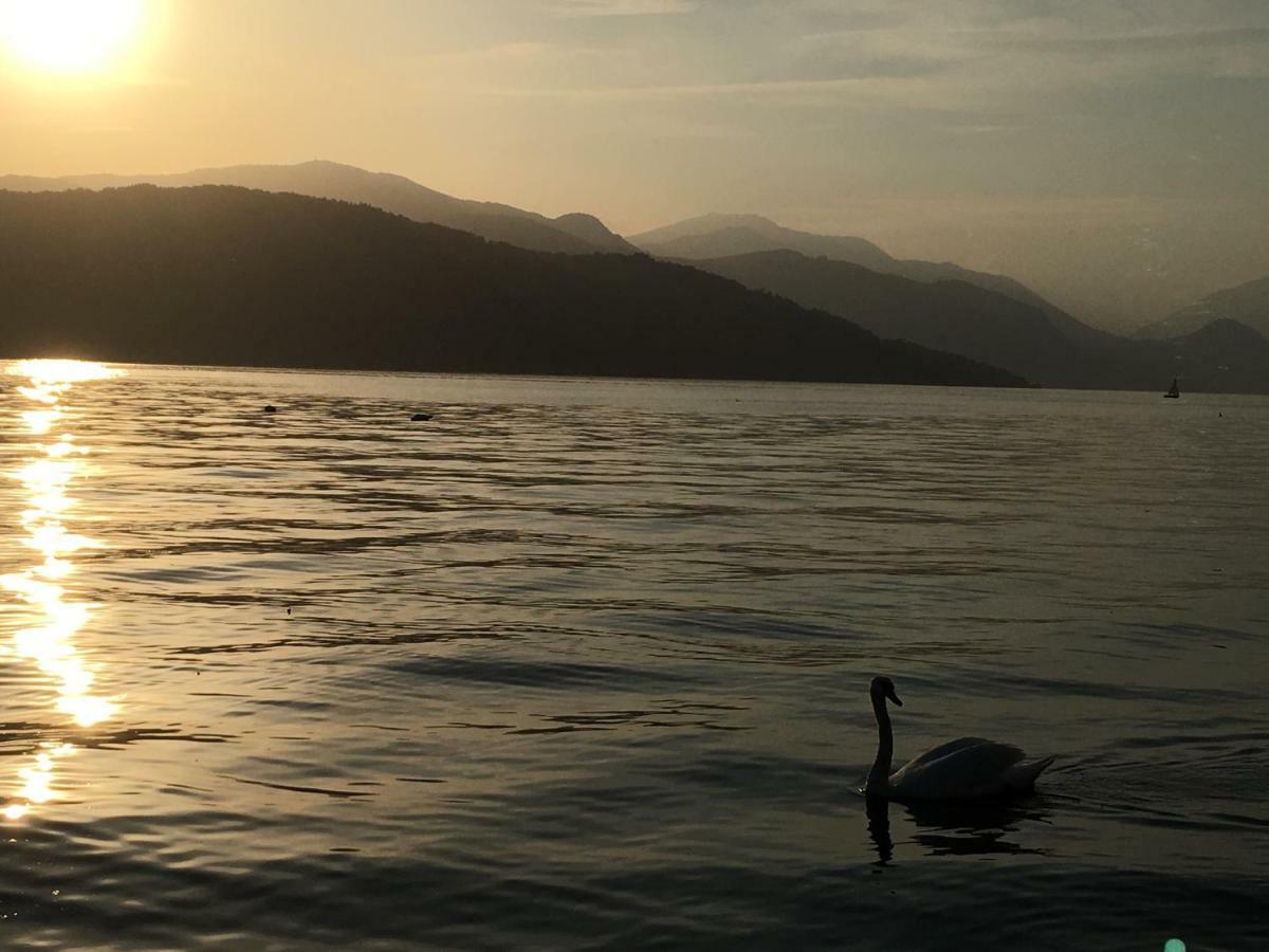 The Gulf Villa - Lago Maggiore Monvalle Bagian luar foto