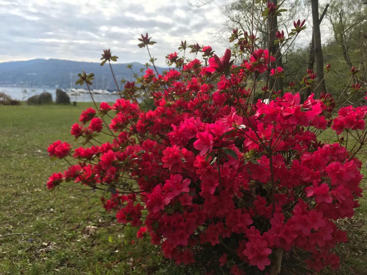 The Gulf Villa - Lago Maggiore Monvalle Bagian luar foto